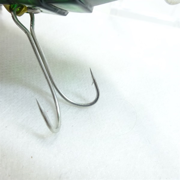 ガンディーニ．